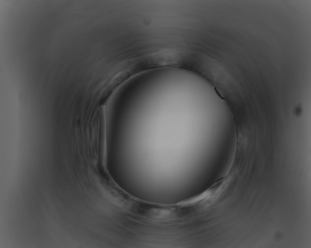 X0000093530170200710191401