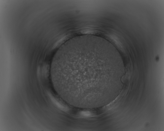 X0000093530171200710191401