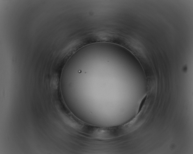 X0000093530174200710191401