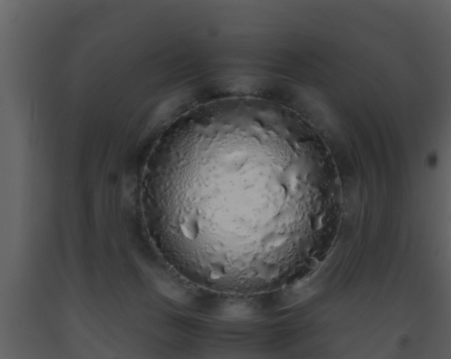 X0000093530175200710191401