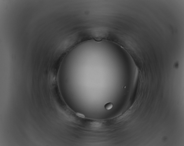 X0000093530176200710191401