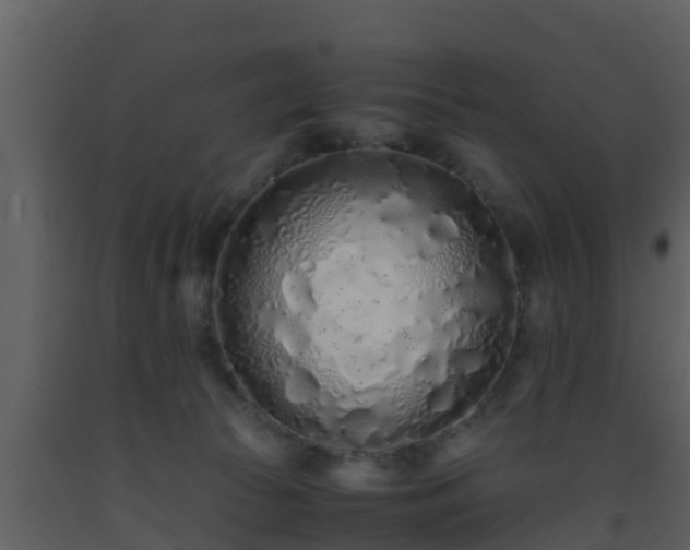 X0000093530177200710191401