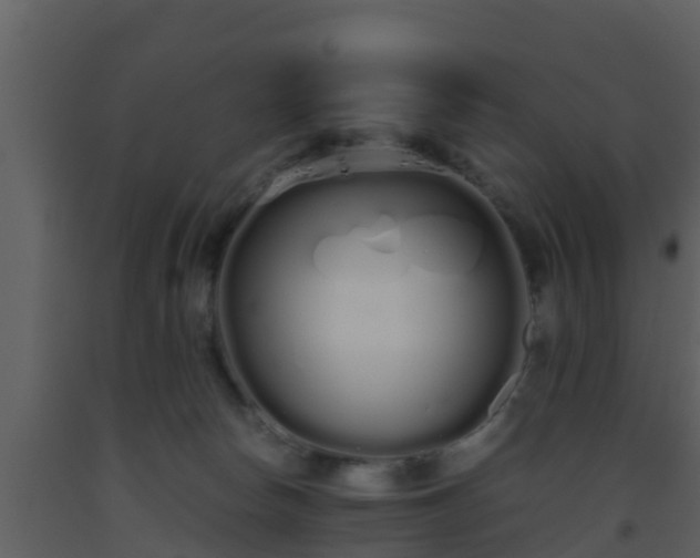 X0000093530178200710191401