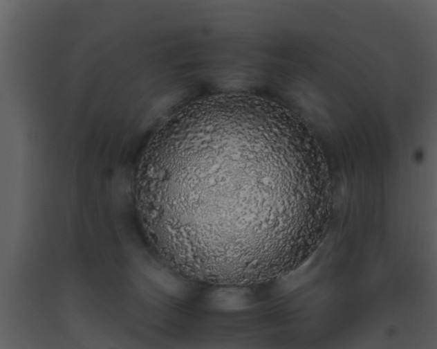 X0000093530179200710191401