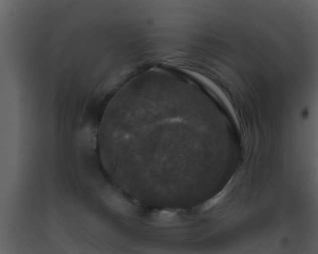 X0000093530180200710191401