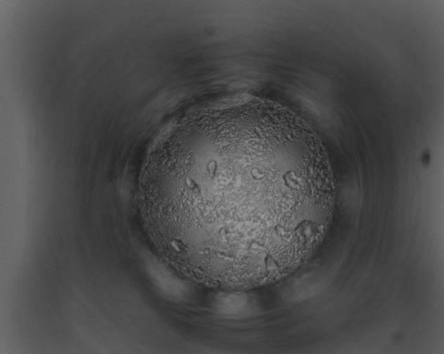 X0000093530181200710191401