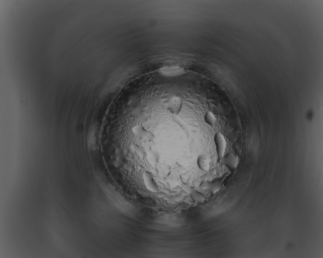 X0000093530185200710191401