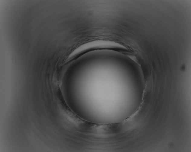 X0000093530186200710191401