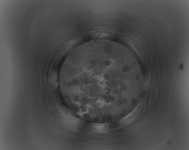 X0000093530187200710191401