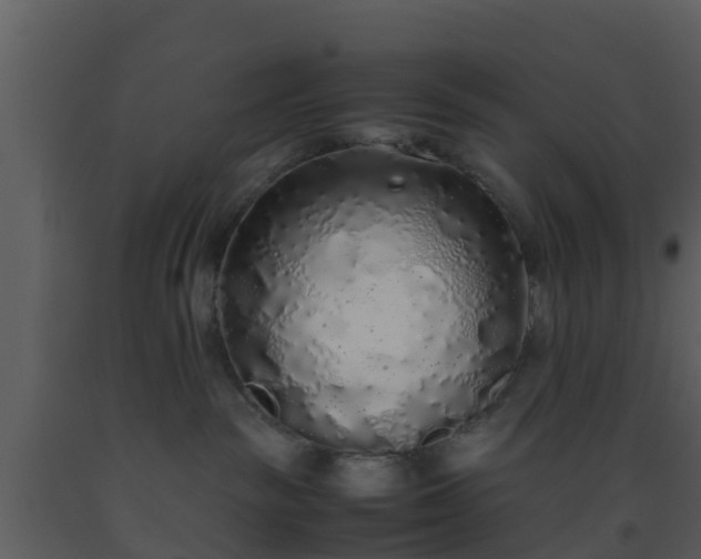 X0000093530189200710191401