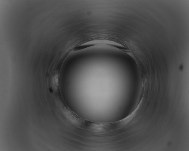 X0000093530190200710191401