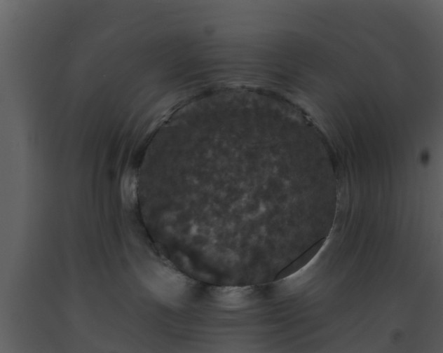 X0000093530191200710191401