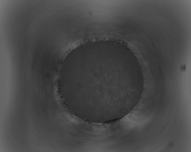 X0000093530192200710191401