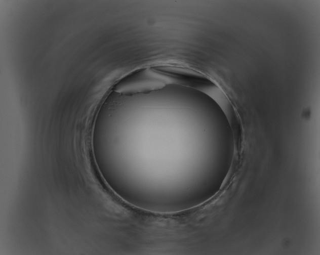 X0000093530193200710191400