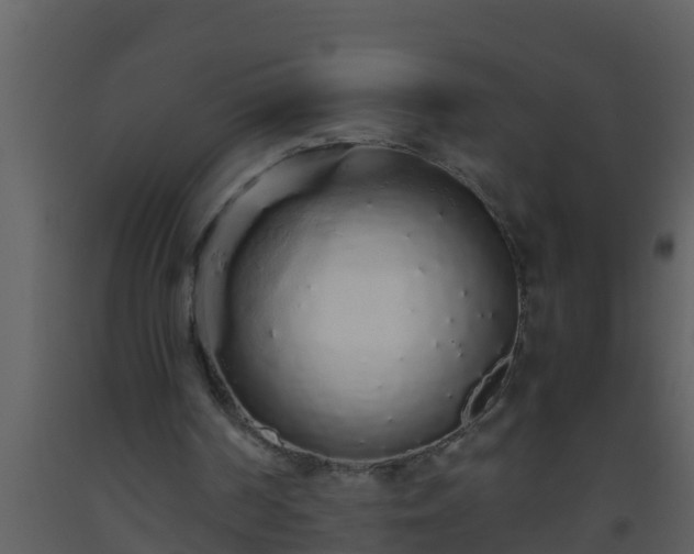 X0000093530194200710191400