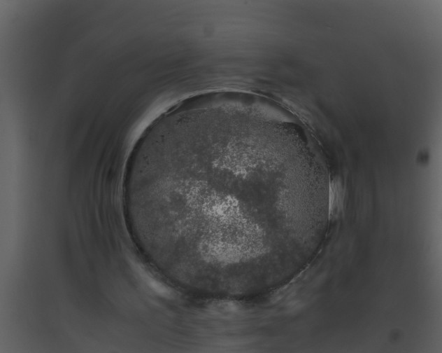 X0000093530195200710191400