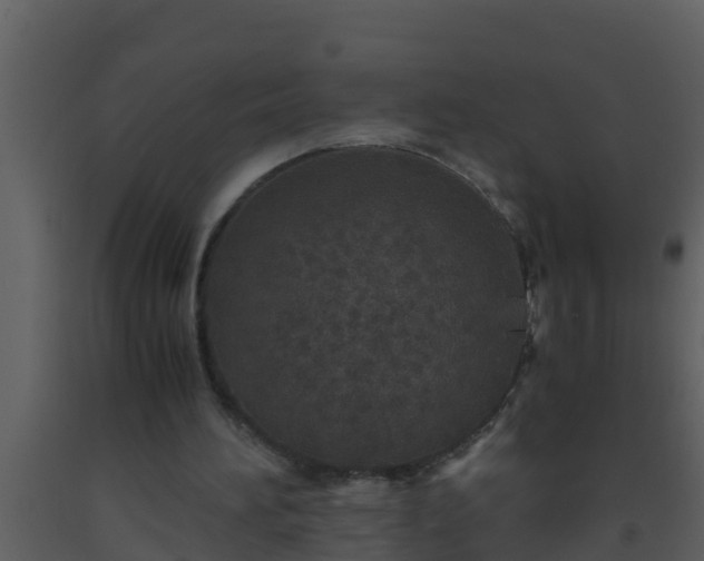 X0000093530196200710191400