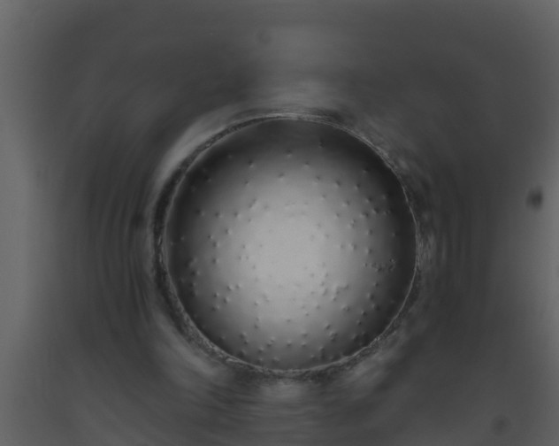 X0000093530198200710191400