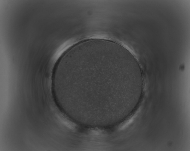 X0000093530199200710191400