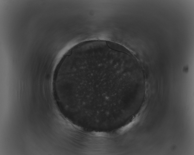 X0000093530200200710191400