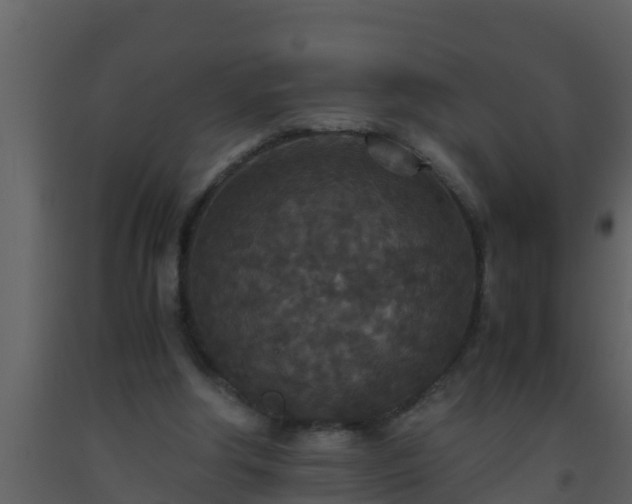 X0000093530202200710191400