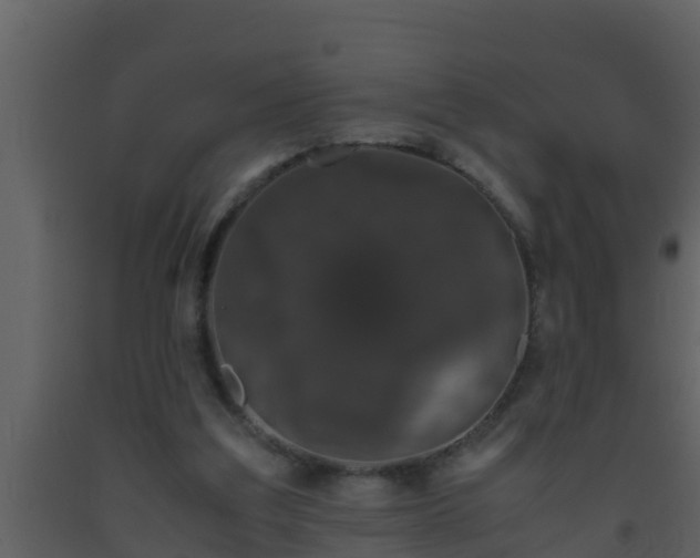 X0000093530203200710191400