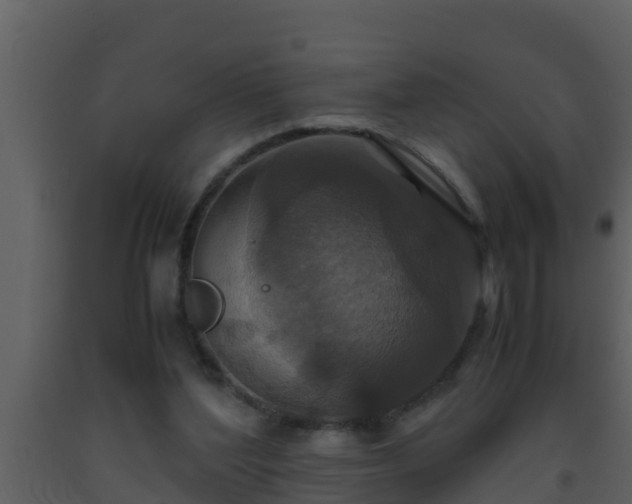 X0000093530204200710191400