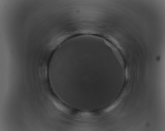 X0000093530205200710191400