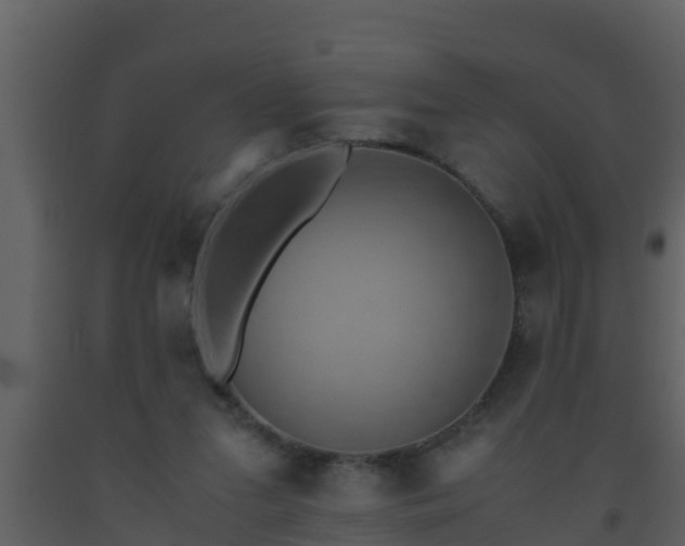 X0000093530207200710191400