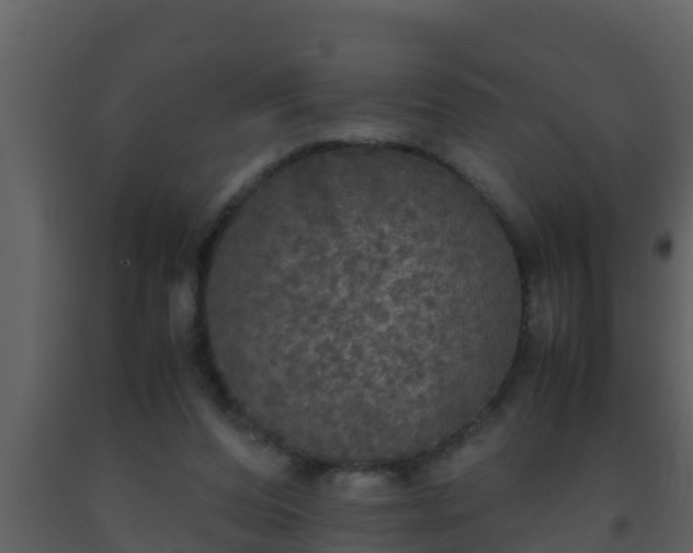 X0000093530208200710191400