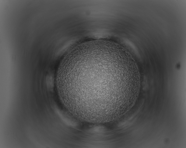 X0000093530210200710191400