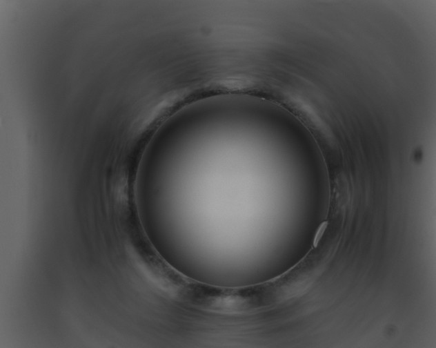 X0000093530212200710191400