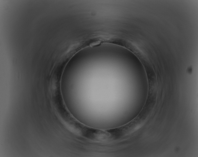 X0000093530215200710191400