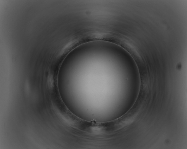 X0000093530216200710191400