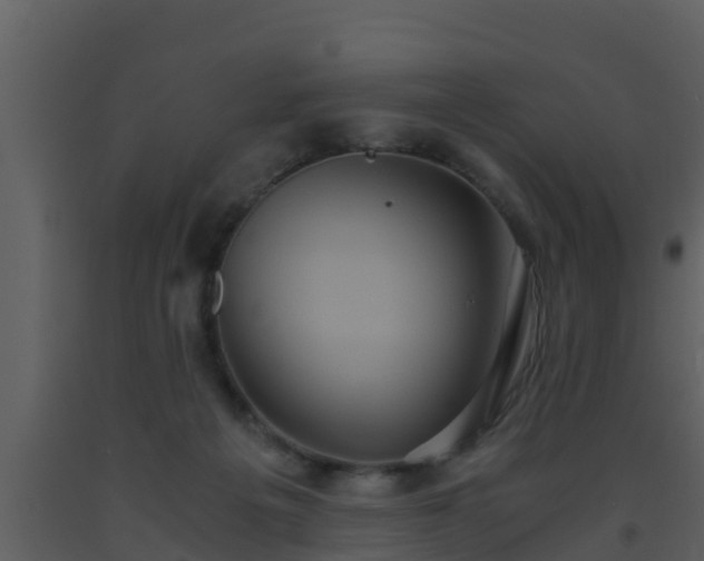 X0000093530217200710191400