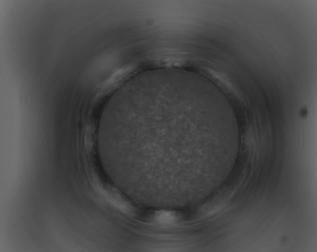 X0000093530218200710191400