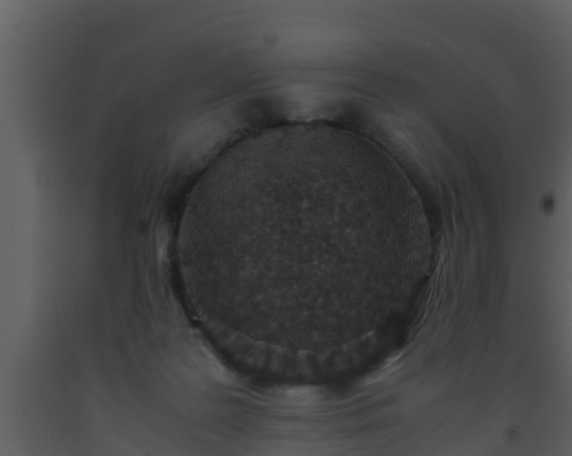 X0000093530219200710191400