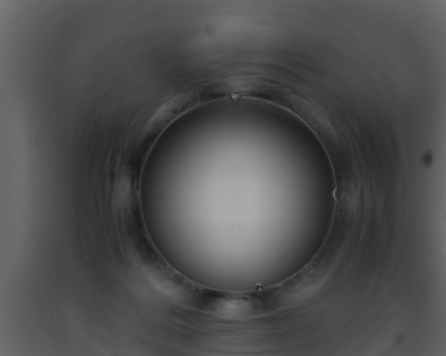 X0000093530220200710191400