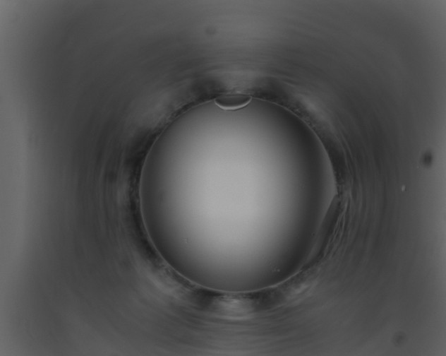 X0000093530221200710191400