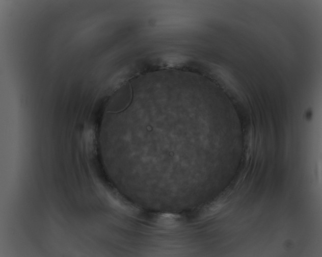 X0000093530222200710191400