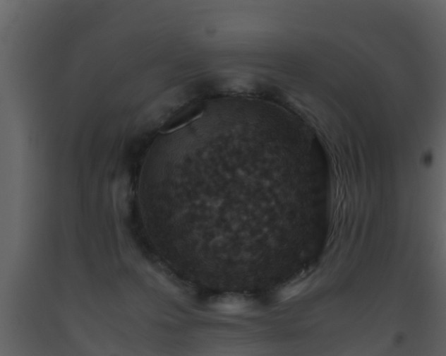 X0000093530223200710191400