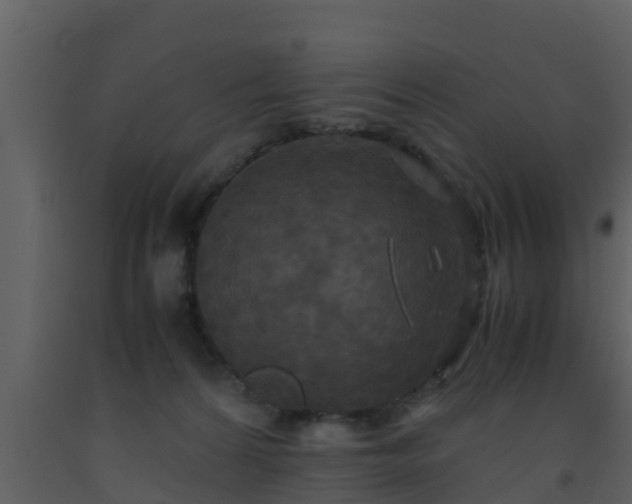 X0000093530224200710191400