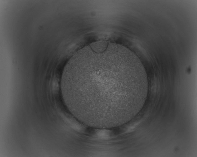 X0000093530226200710191400