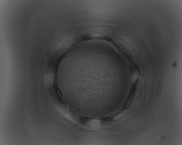 X0000093530227200710191400