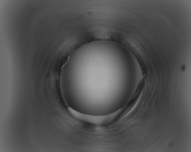 X0000093530229200710191400