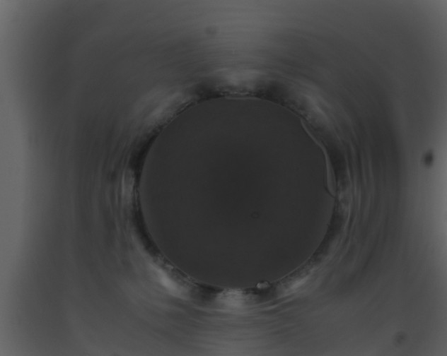 X0000093530231200710191400