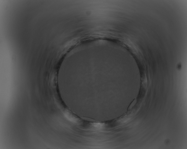 X0000093530233200710191400