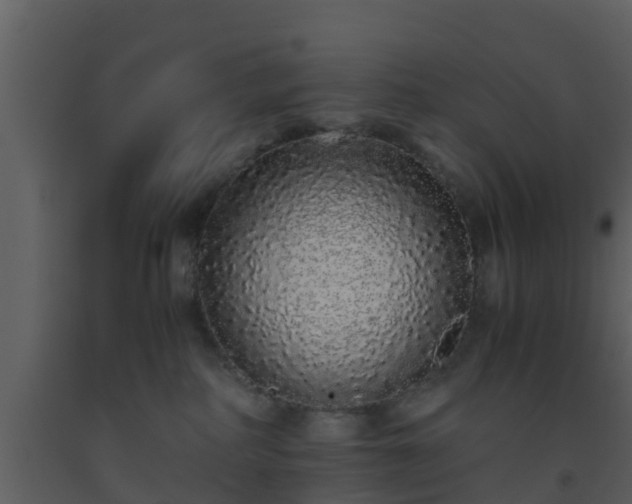 X0000093530234200710191400