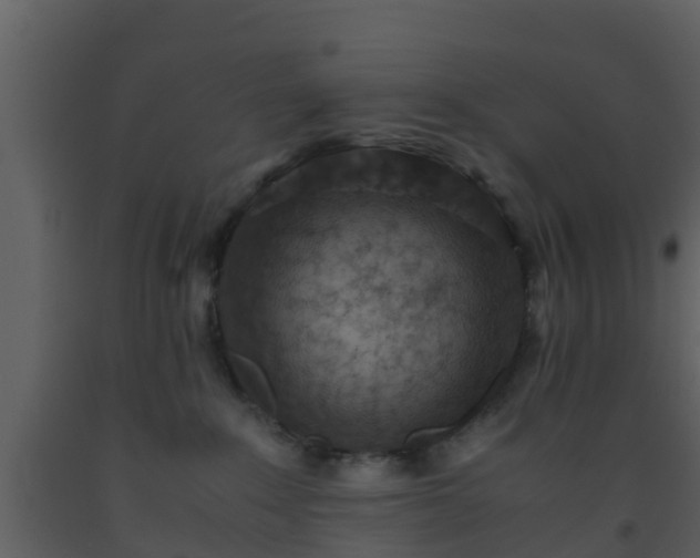 X0000093530235200710191400