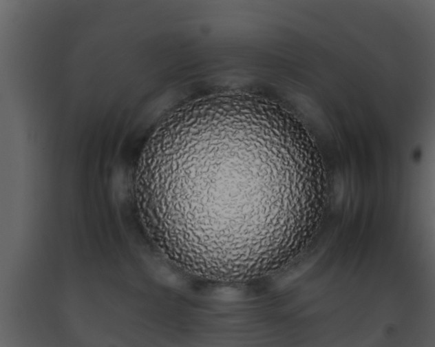 X0000093530236200710191400